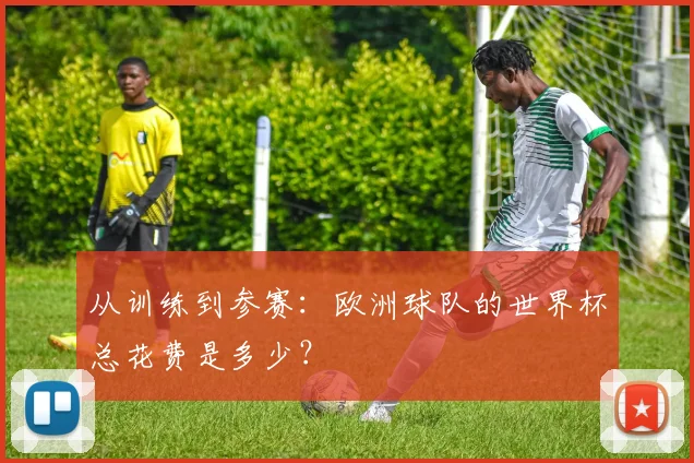 从训练到参赛:欧洲球队的世界杯总花费是多少?