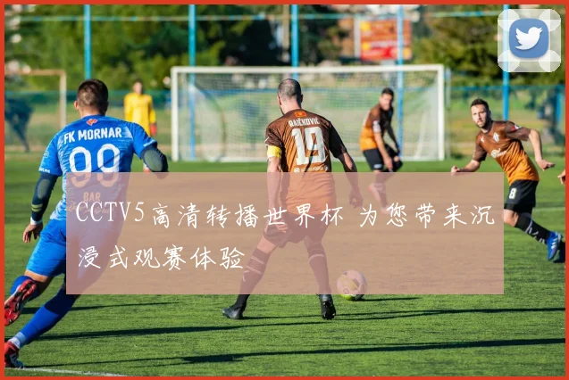 CCTV5高清转播世界杯 为您带来沉浸式观赛体验