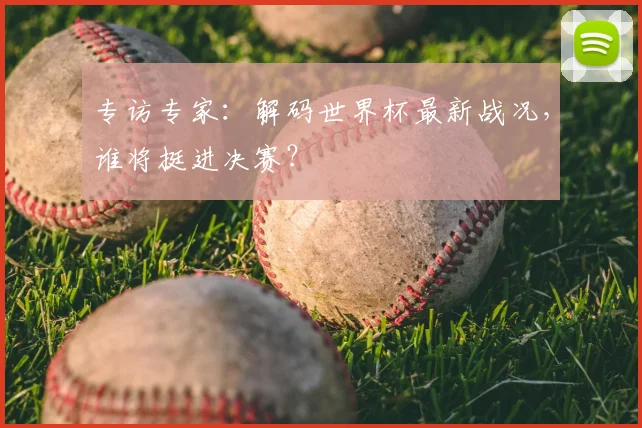 专访专家：解码世界杯最新战况，谁将挺进决赛？