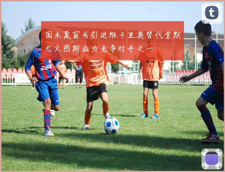 国米夏窗或引进维卡里奥替代索默尤文图斯成为竞争对手之一