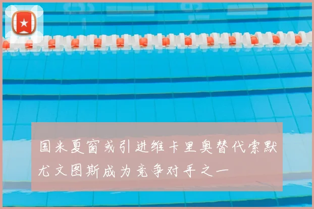 国米夏窗或引进维卡里奥替代索默尤文图斯成为竞争对手之一