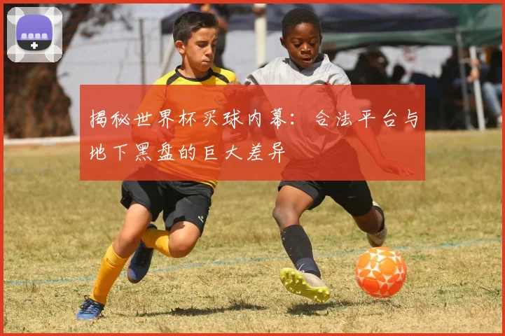 揭秘世界杯买球内幕:合法平台与地下黑盘的巨大差异