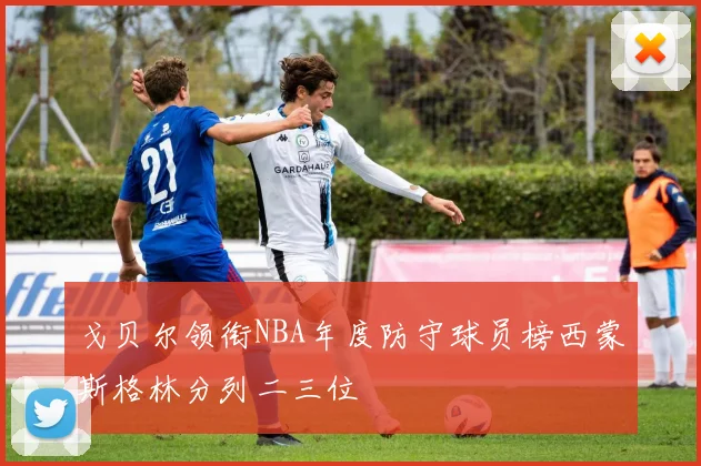 戈贝尔领衔NBA年度防守球员榜西蒙斯格林分列二三位